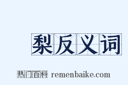 鴨梨反义词是什么意思的图片
